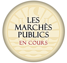 Marchés publics en cours