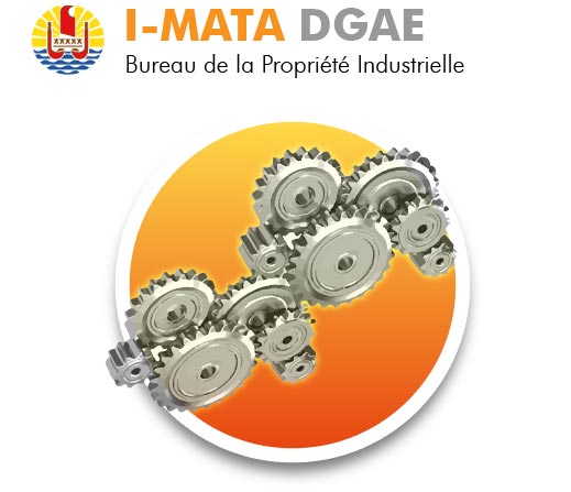 Téléservice DGAE : I-MATA