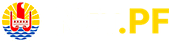 Net.pf Logo